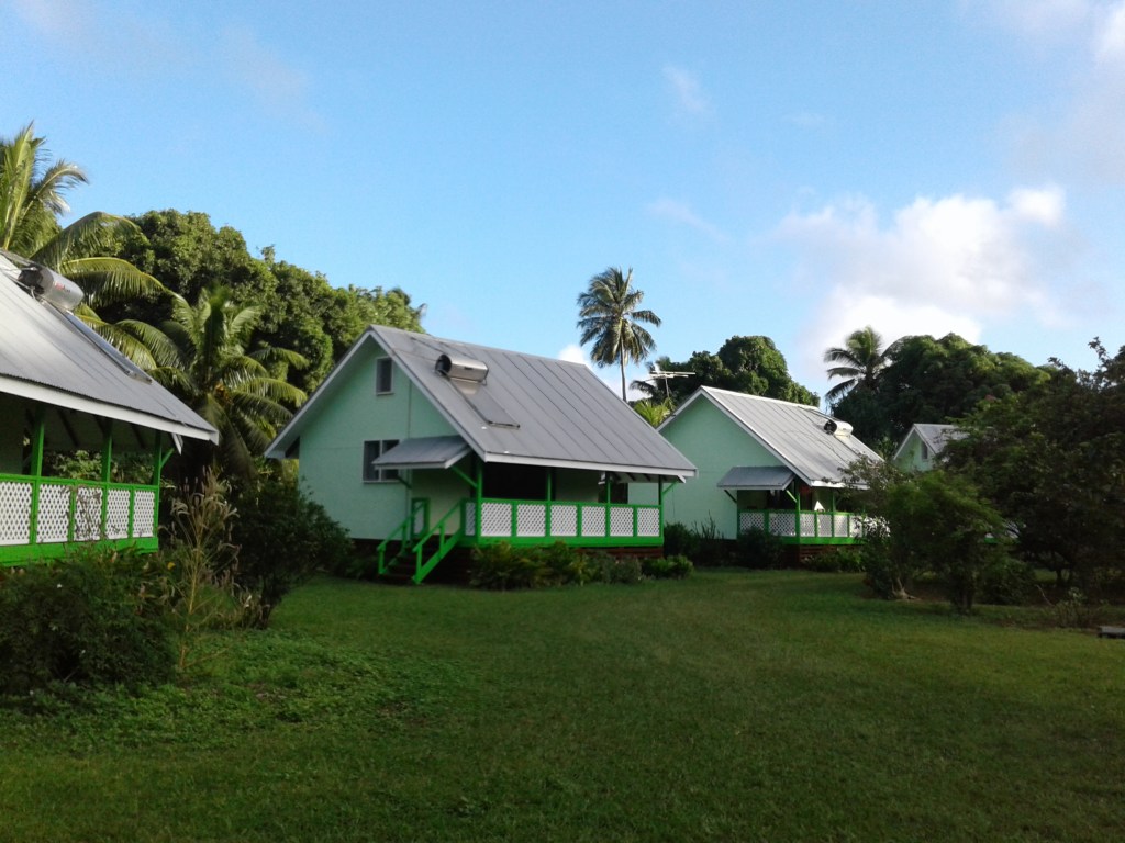 This image has an empty alt attribute; its file name is 20210714_081650.jpg